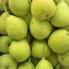 Imported Pear - इम्पोर्टेड नाशपाती